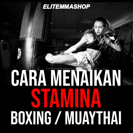 Cara menaikan stamina untuk boxing dan muaythai