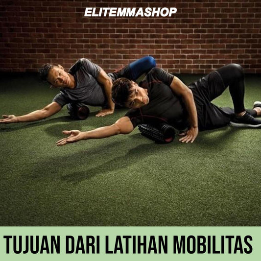 TUJUAN DARI LATIHAN MOBILITAS