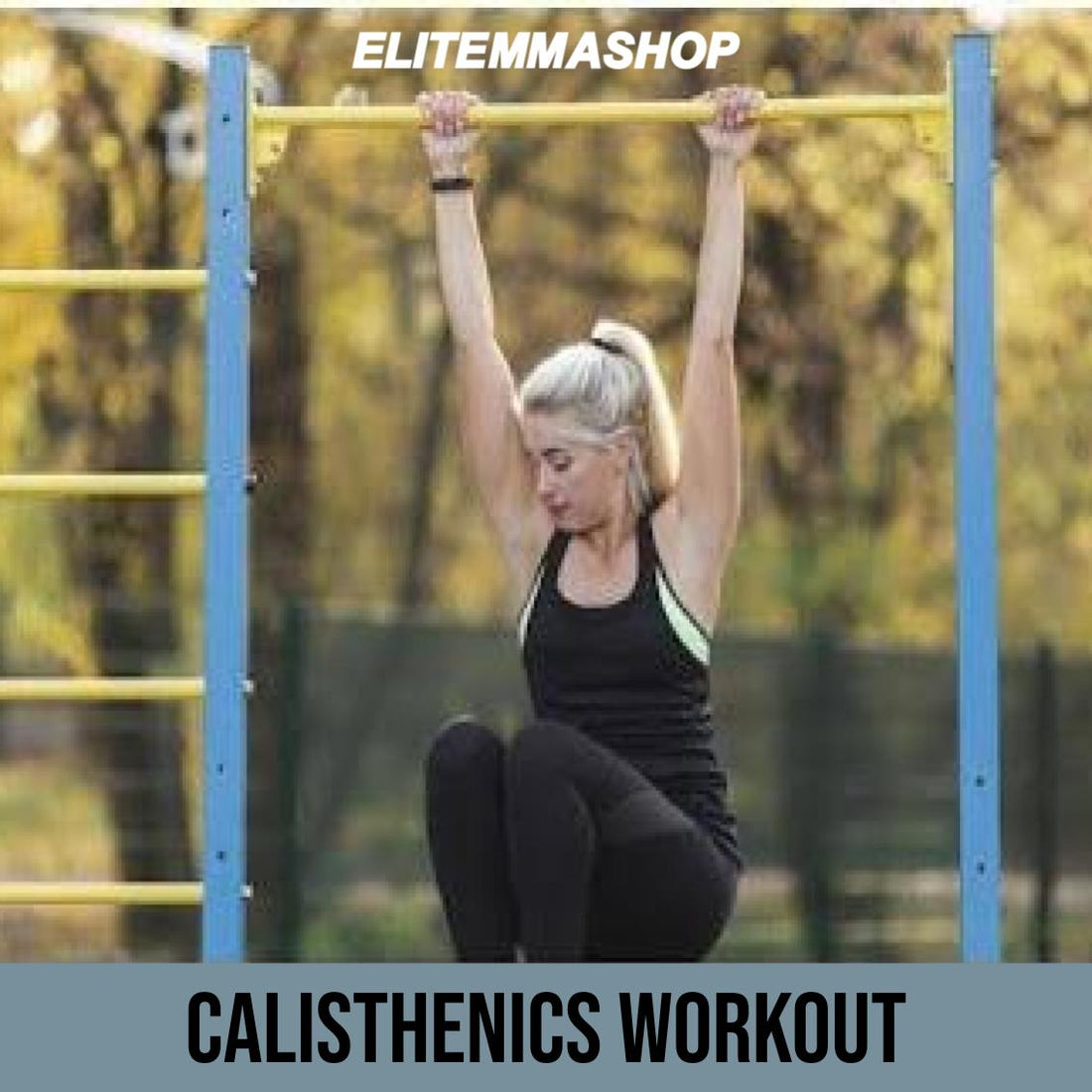 Calisthenics Workout