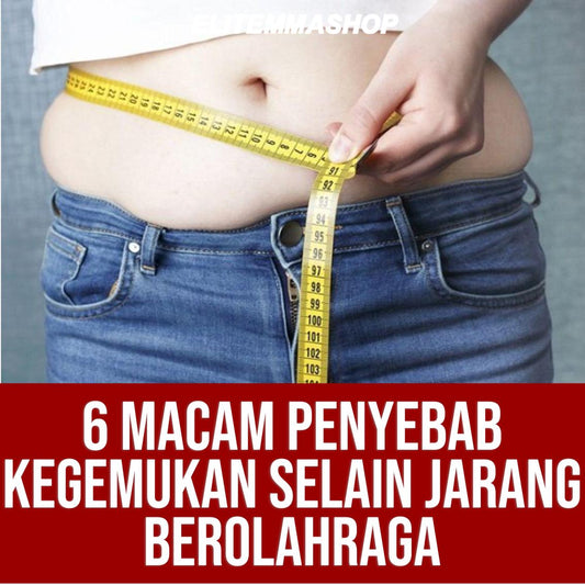 6 macam penyebab kegemukan selain jarang berolahraga