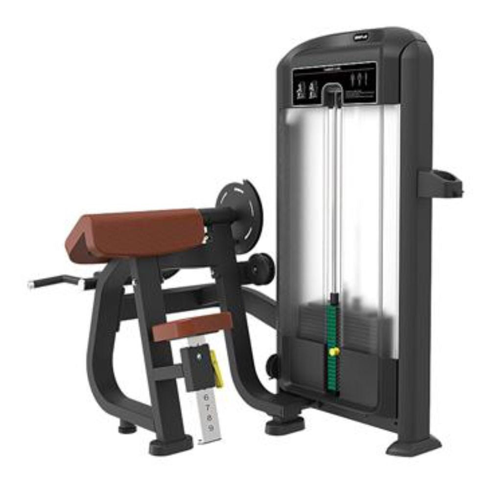 jual alat fitnes bicep