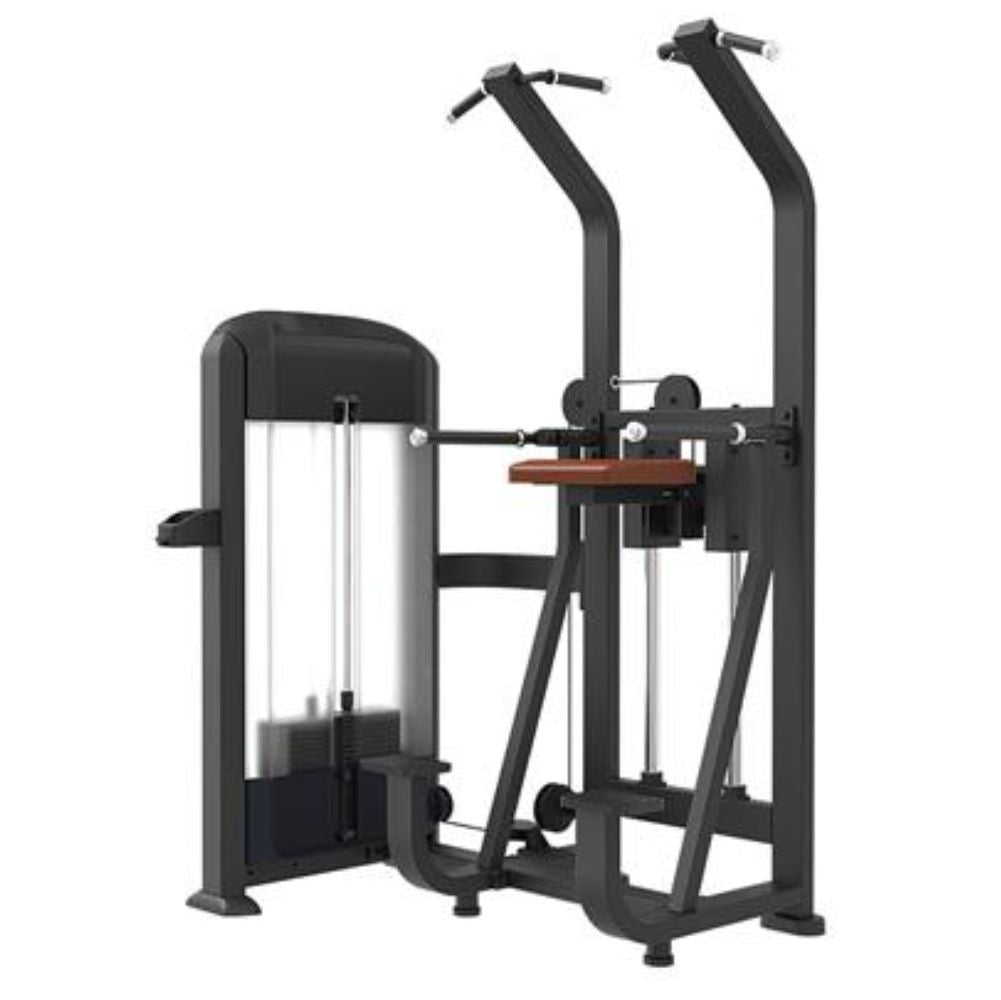 jual alat chin up