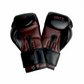 GENETIX COMBAT GNTX Boxing Gloves GBG5 BlackBrown
