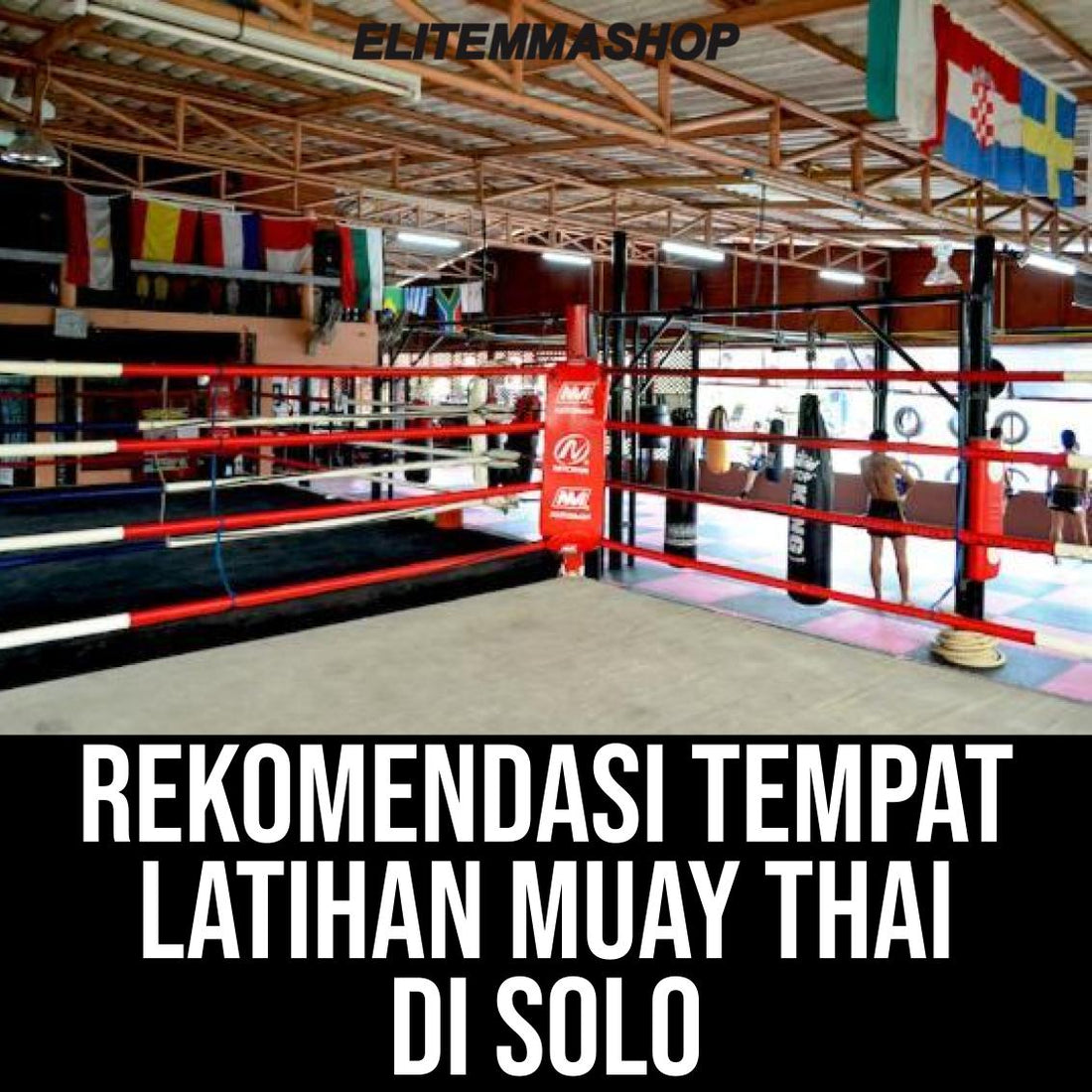 Rekomendasi Tempat Latihan Muay Thai di Solo