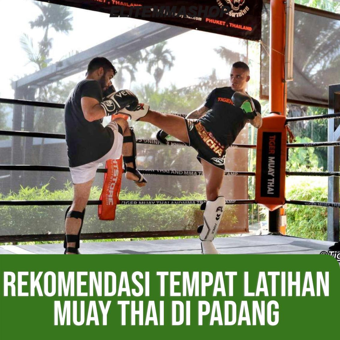 Rekomendasi Tempat Latihan Muay Thai di Padang