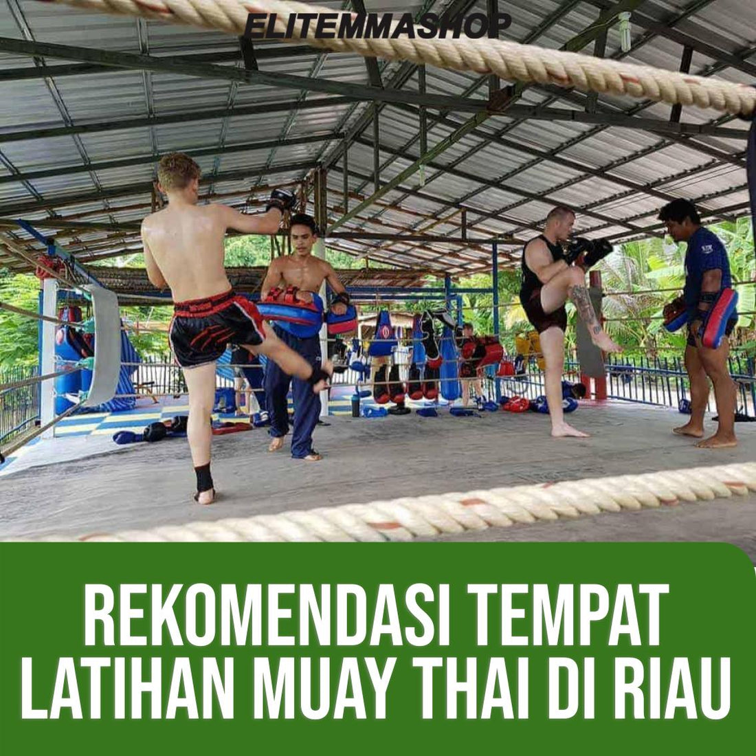 Rekomendasi tempat latihan muay thai di riau