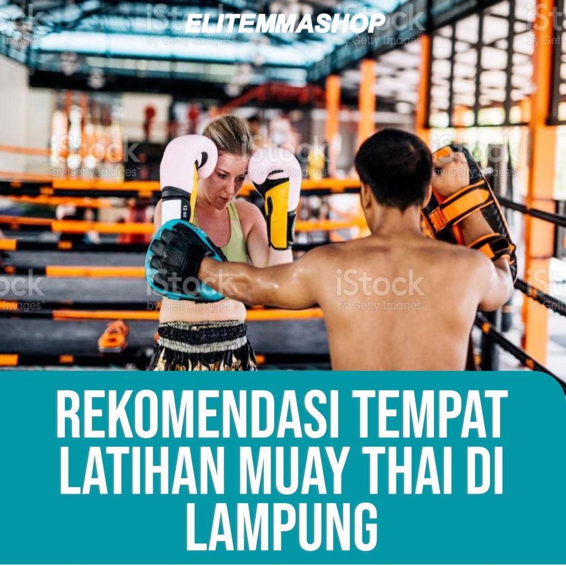 Rekomendasi Tempat Latihan Muay Thai di Lampung
