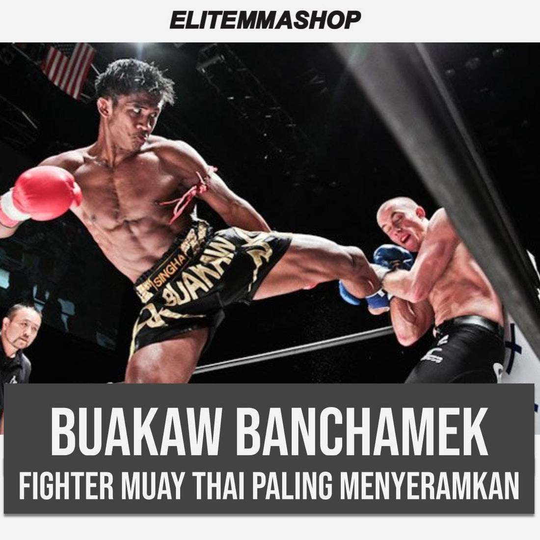 Buakaw Banchamek, fighter Muay Thai yang paling terkenal didunia