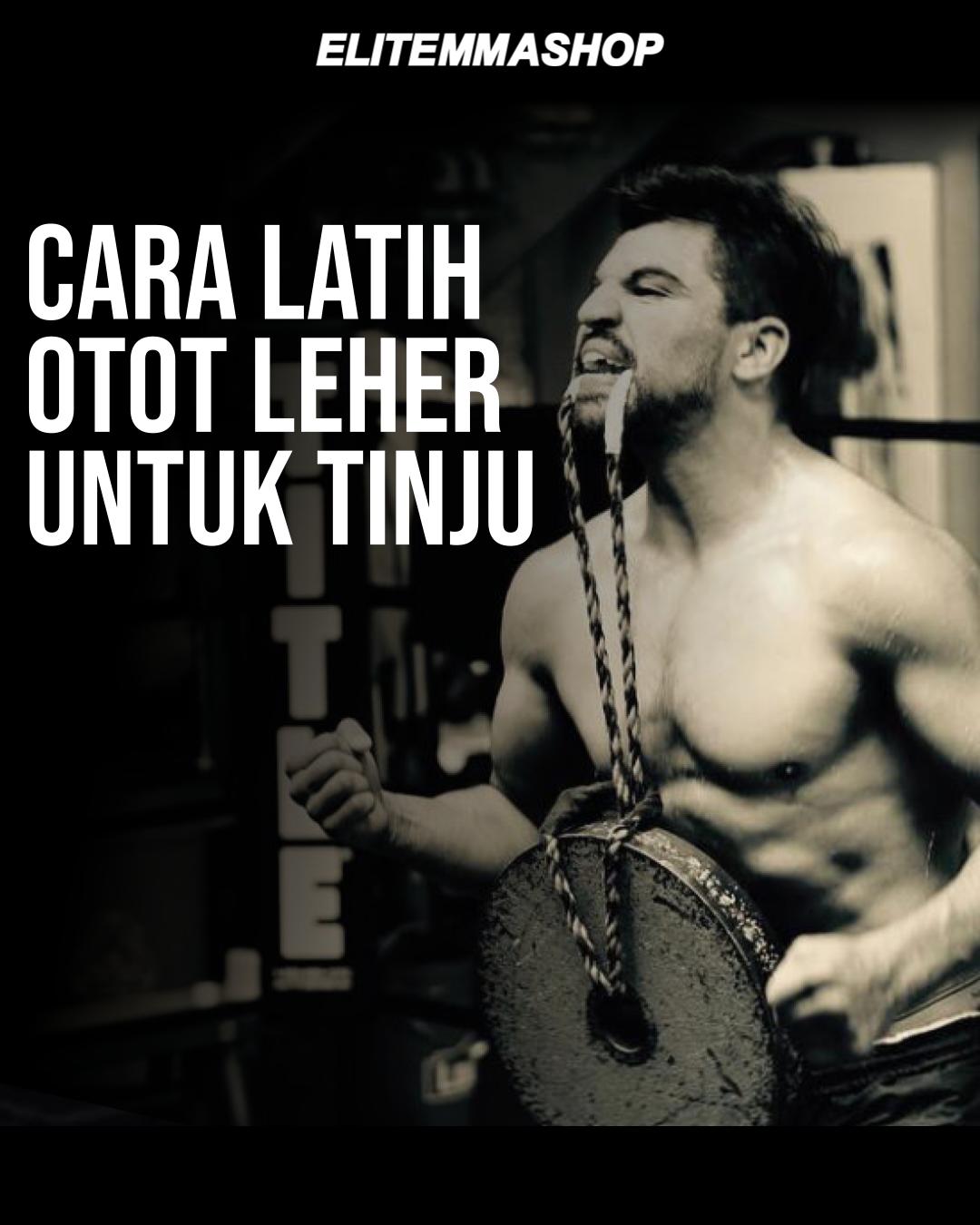 CARA LATIH OTOT LEHER UNTUK PETINJU