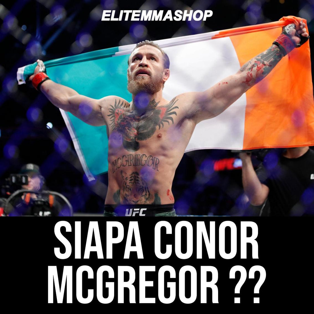 Siapa Conor McGregor?