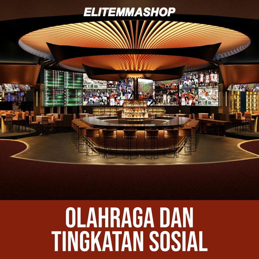 OLAHRAGA DAN TINGKATAN SOSIAL
