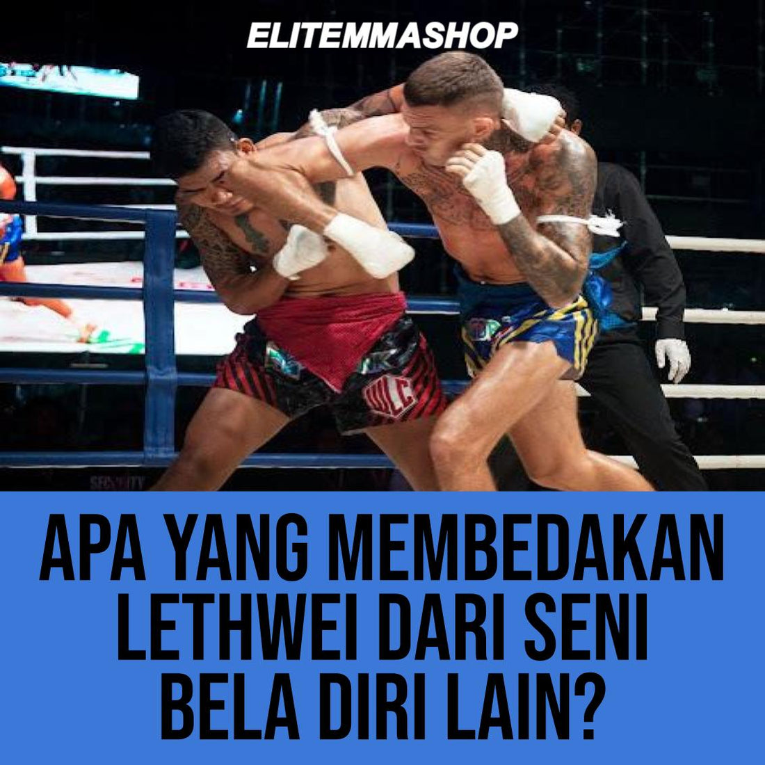 Apa Yang Membedakan Lethwei Dari Seni Bela Diri Lain?