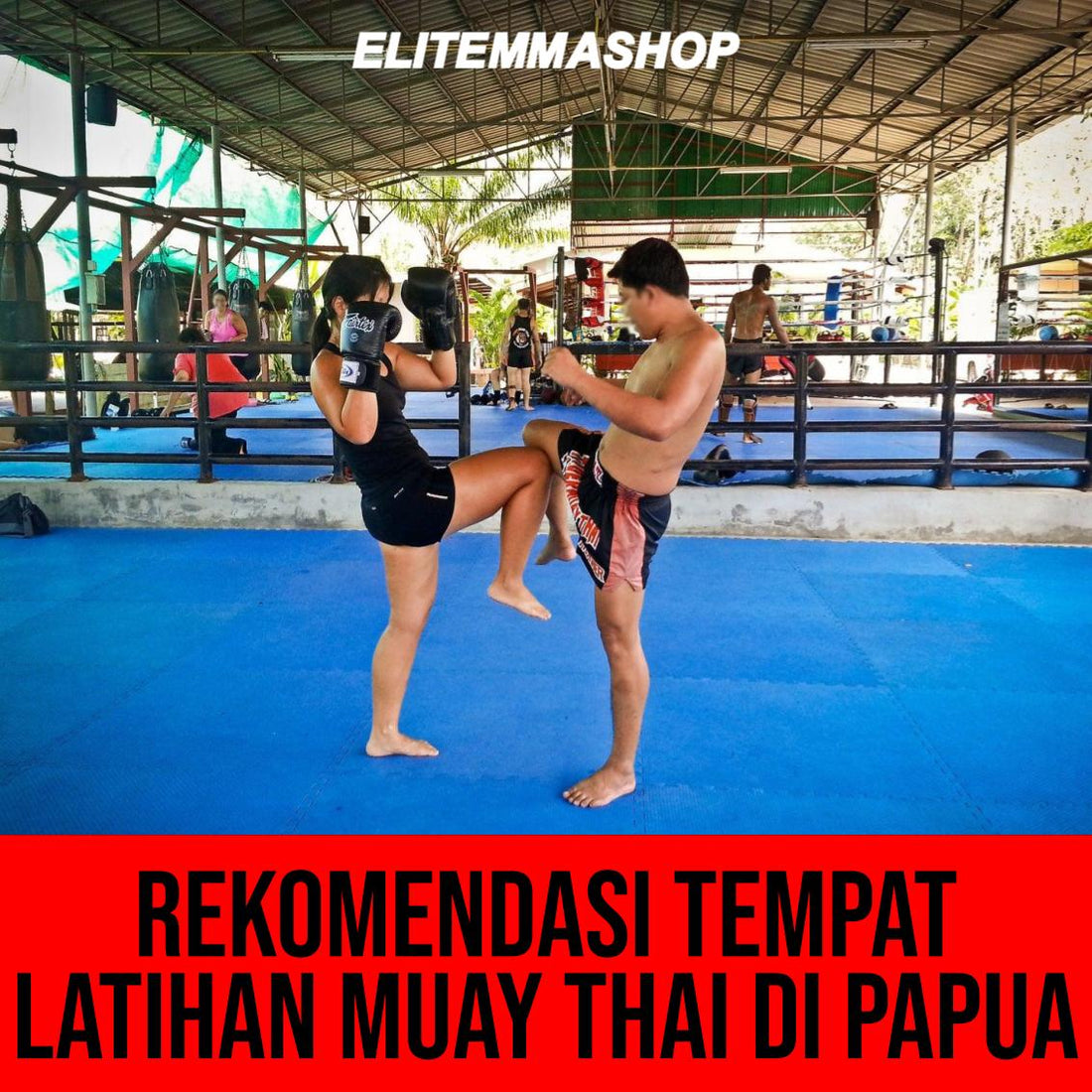 Rekomendasi Tempat Latihan Muay Thai di Papua