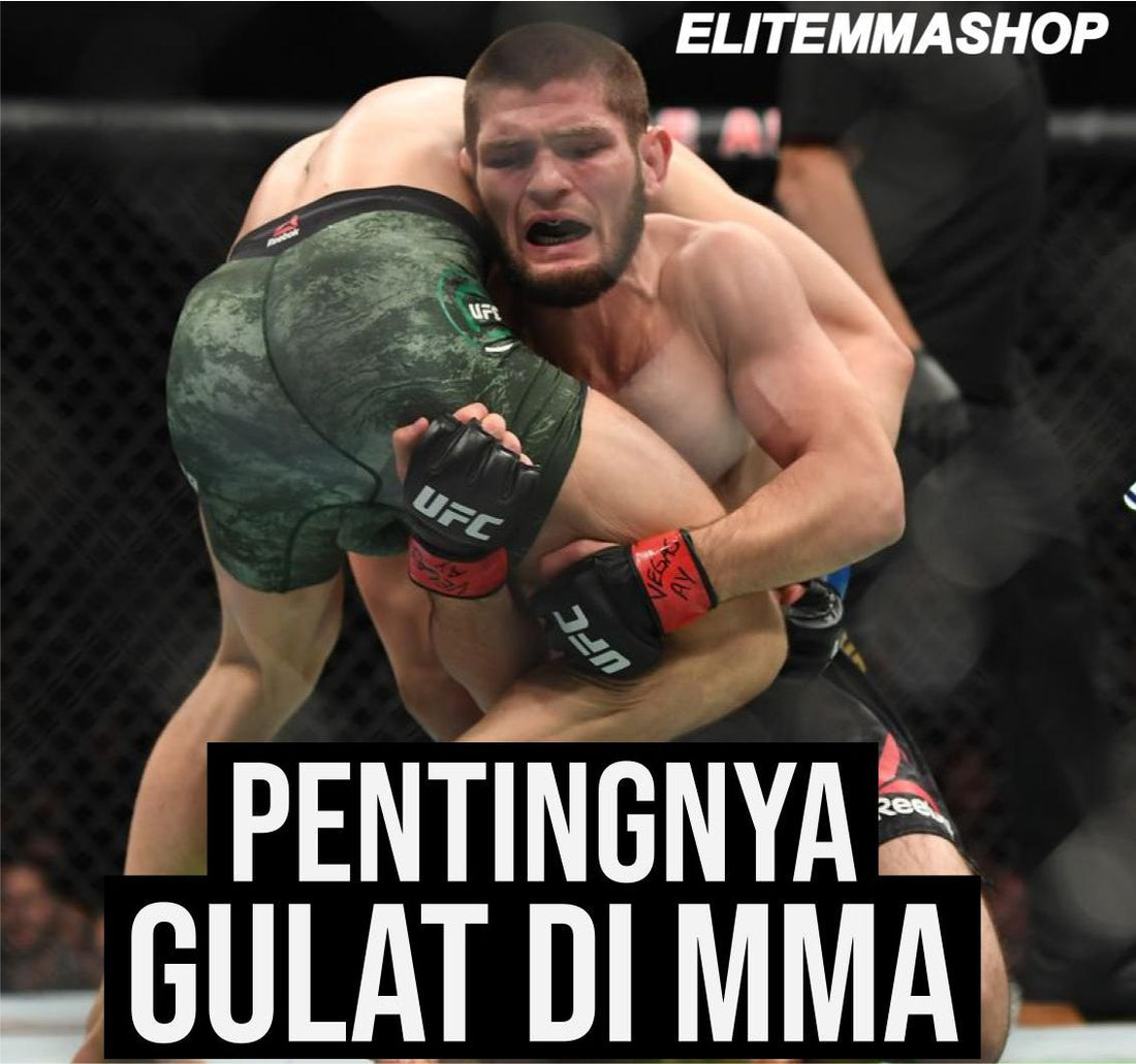 PENTINGNYA OLAHRAGA GULAT UNTUK MMA
