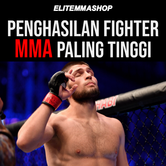 Siapa Fighter MMA dengan penghasilan tertinggi?