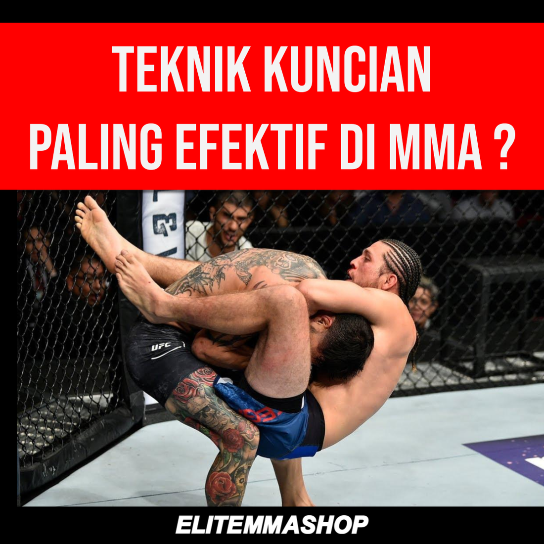 Teknik dan Kuncian Mematikan di MMA yang Perlu Diketahui