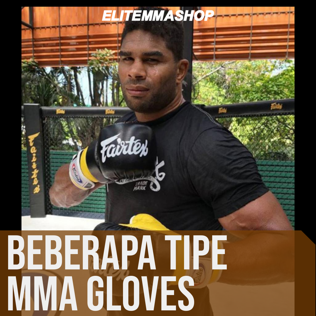 Tipe-tipe sarung tangan MMA Fairtex
