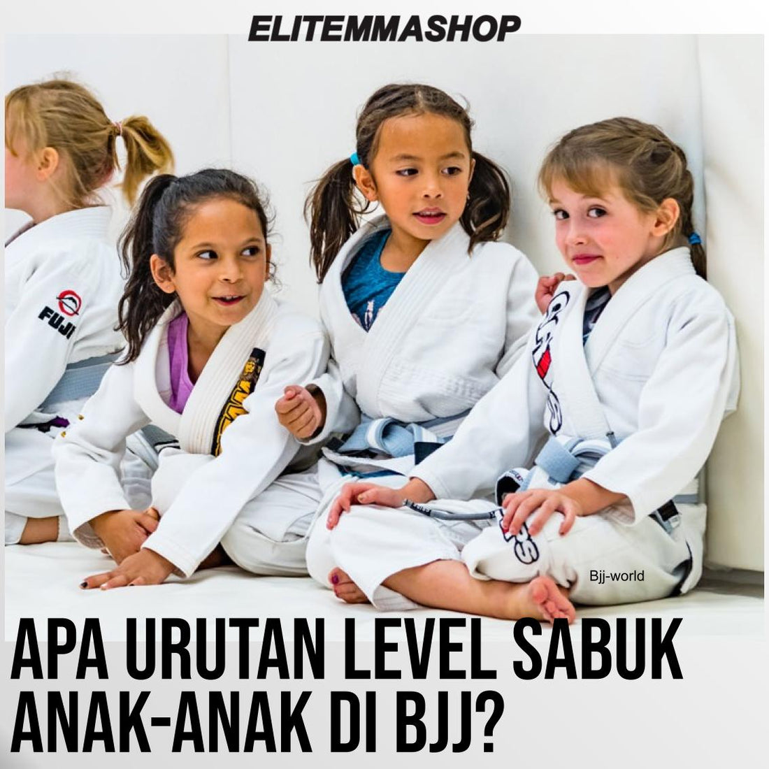 Urutan Sabuk di BJJ Pada Anak-anak