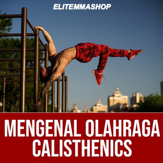 Mengenal Olahraga Calisthenic