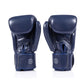 FAIRTEX Boxing Gloves BGV1C-PLUS Blue