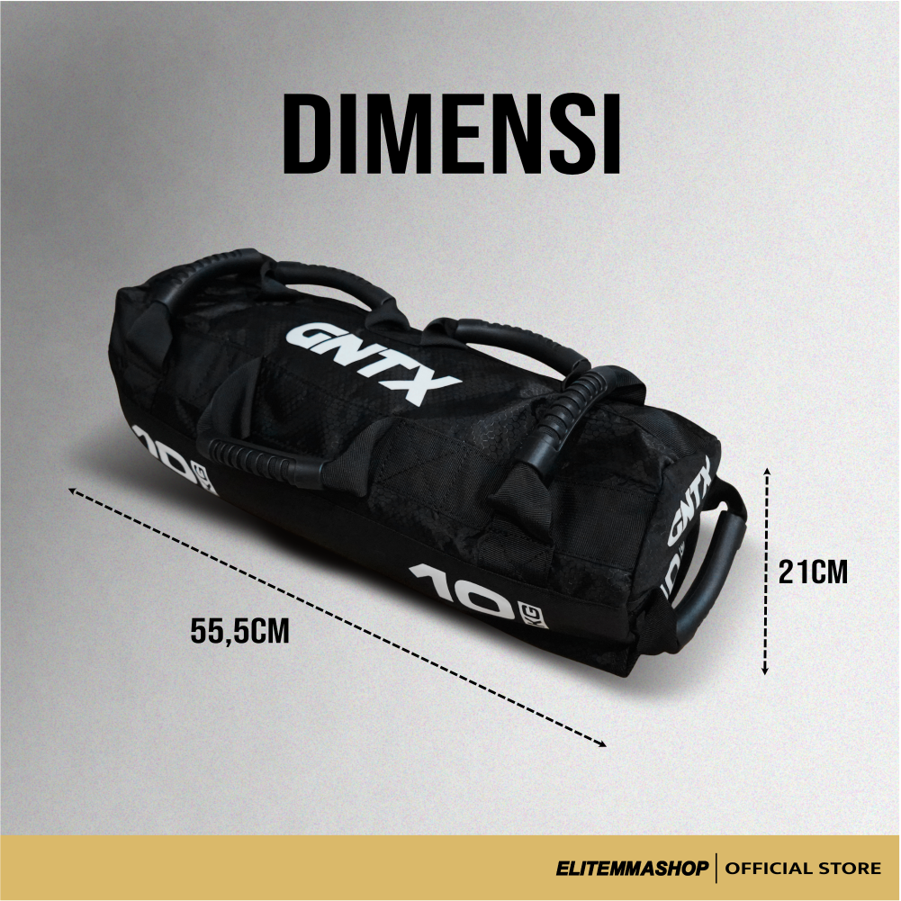 GENETIX Competition Sandbag (Filled)
