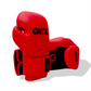 GENETIX COMBAT GNTX Boxing Gloves GBG5  RedBlack