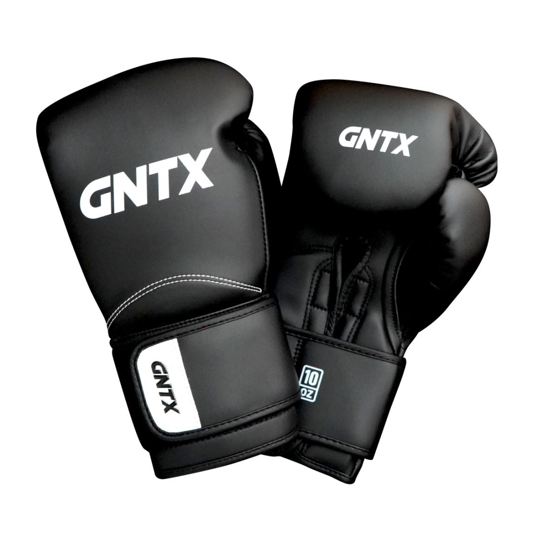 Boxing Gloves GNTX L