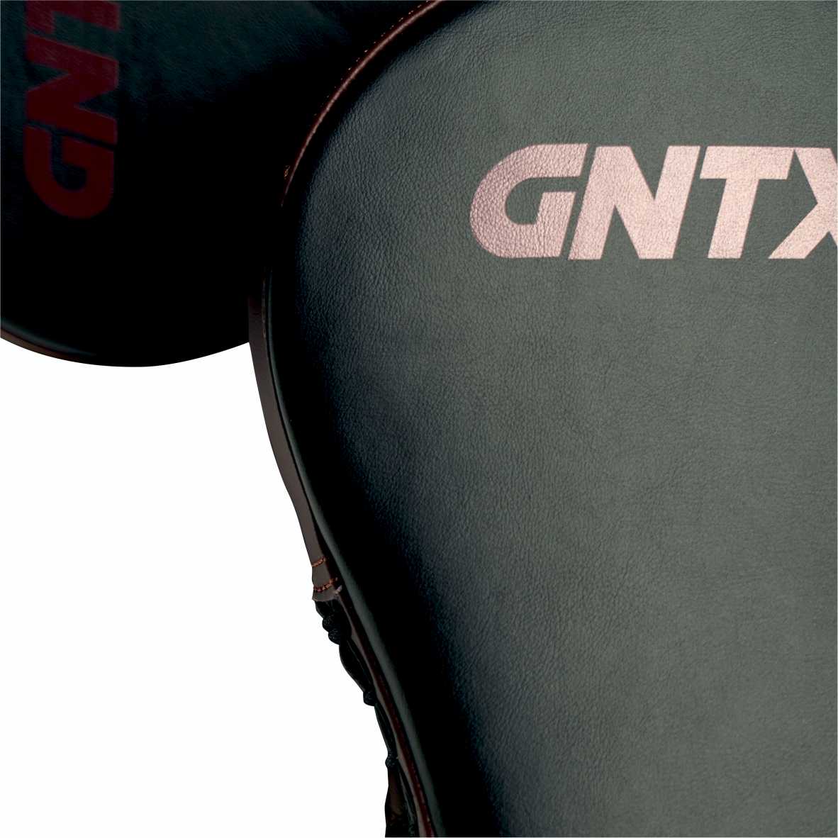 GENETIX GNTX Focus Mitt GFM2 BlackBrown