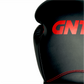 GENETIX COMBAT GNTX Boxing Gloves GBG5 BlackRed