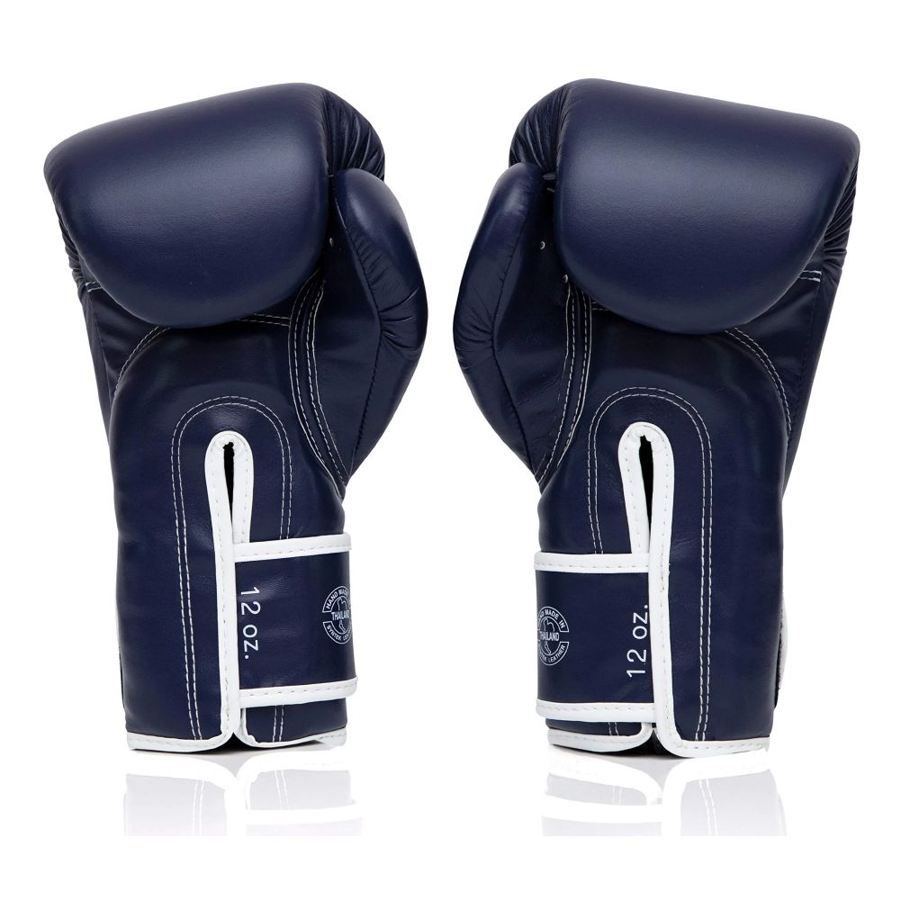 FAIRTEX Boxing Gloves BGV14 Blue