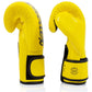 FAIRTEX Boxing Gloves BGV14 Yellow